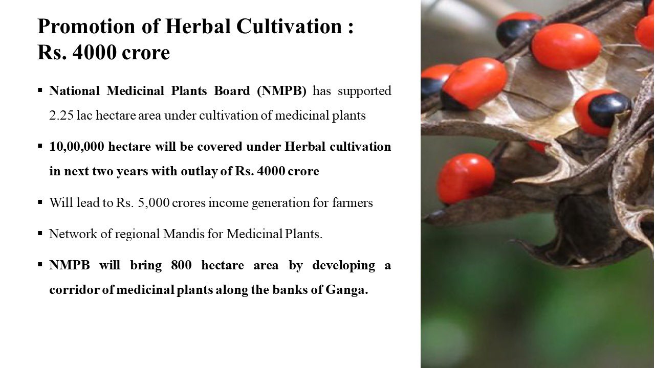 Promotion of Herbal Cultivation