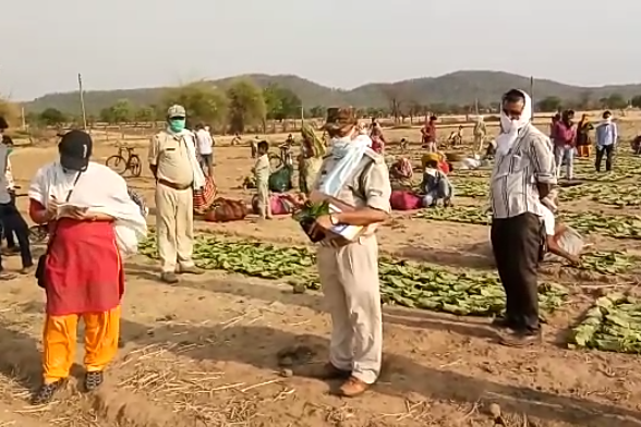 Ranger AK Tiwari inspected Bharatpura and Nayatal leaf phad