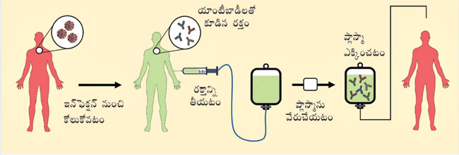 convalescent plasma therapy in telugu