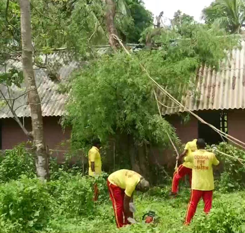 पेड़ हटाने का काम करते अग्निशमन और एनडीआरएफ के कर्मचारी