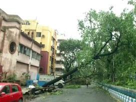 Destruction caused by Amphan in West Bengal