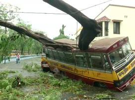 Trees uprooted as Cyclone Amphan creates havoc in West Bengal