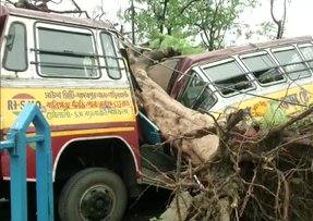 Trees uprooted and waterlogging in several parts of Kolkata in wake of Cyclone Amphan