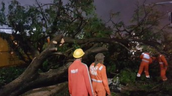 Cyclone Amphan leaves behind trail of destruction in West Bengal, 12 dead