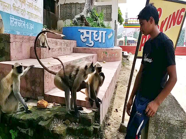 बांका