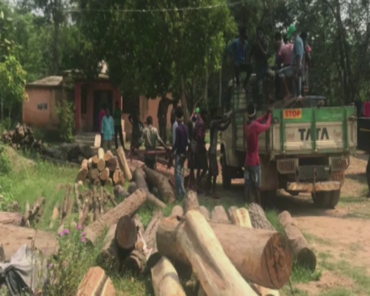 Millions of rupees worth of stolen timber were seized in Kendujhar district