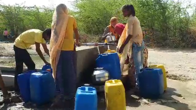 पाली में पेयजल का संकट, Rohat area news,  Drinking water crisis in Pali