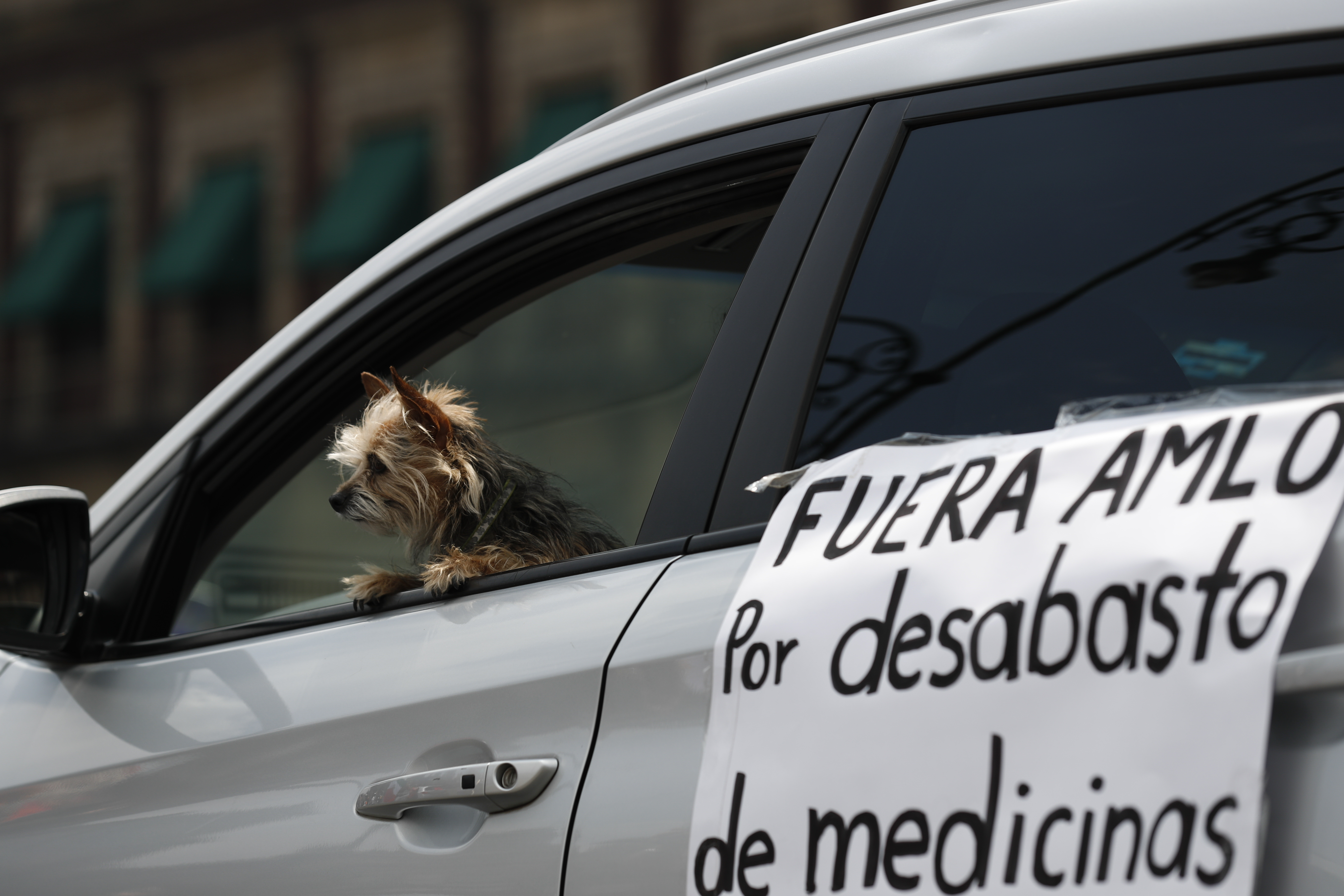 A dog pokes its head out a driver side window, alongside a sign reading in Spanish; 