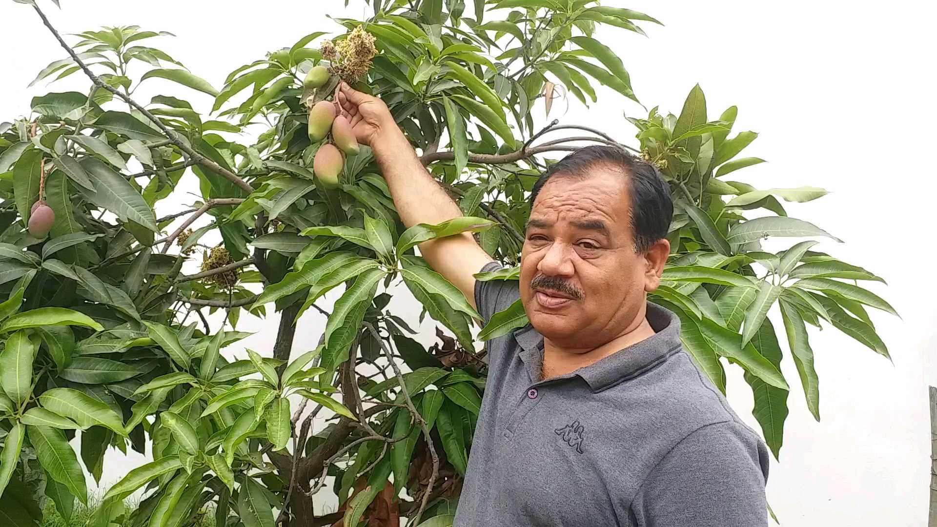 harak-singh-rawat-grown-vegetables-in-his-field