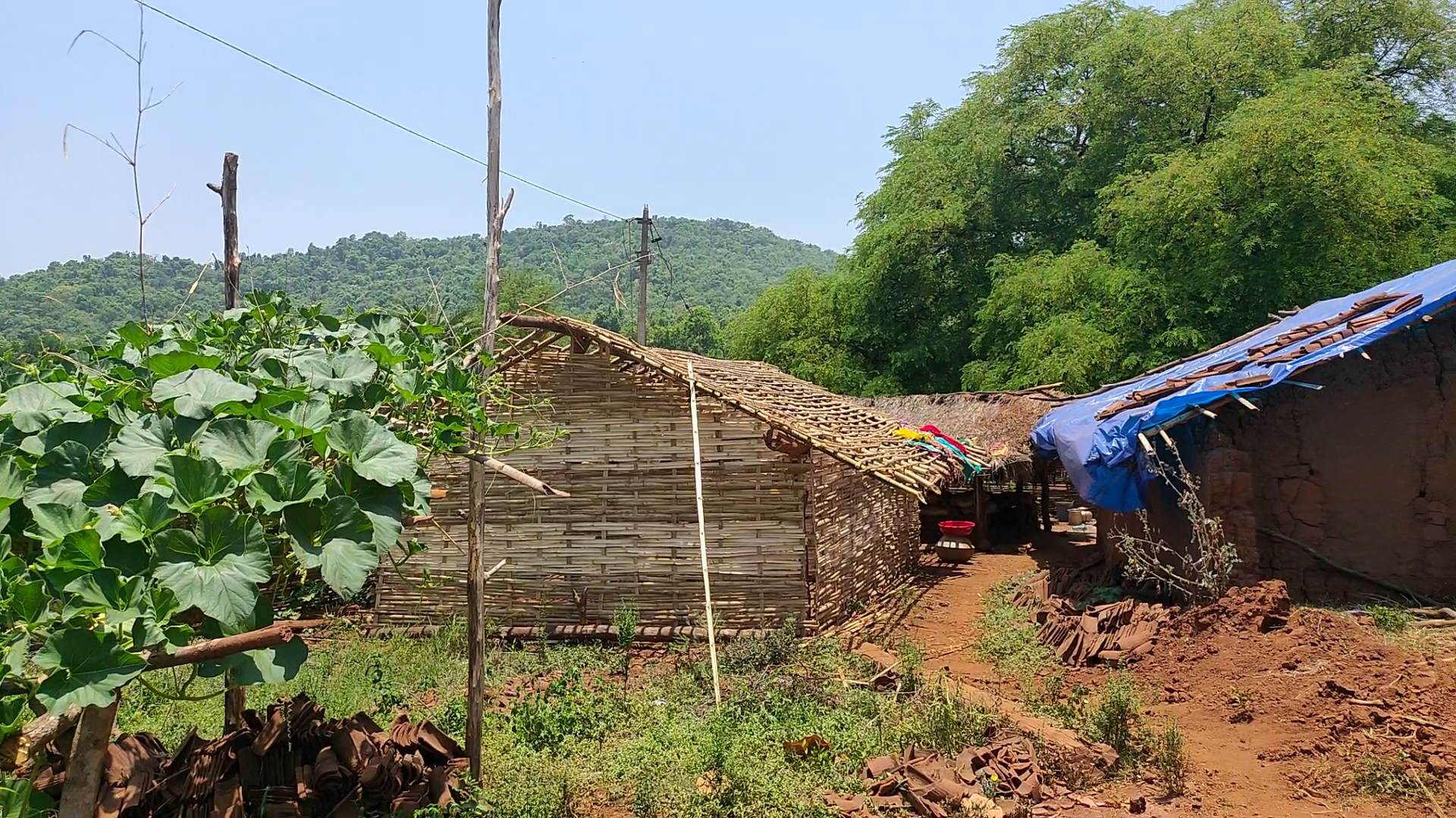 social distancing for centuries in narayanpur to prevent infection