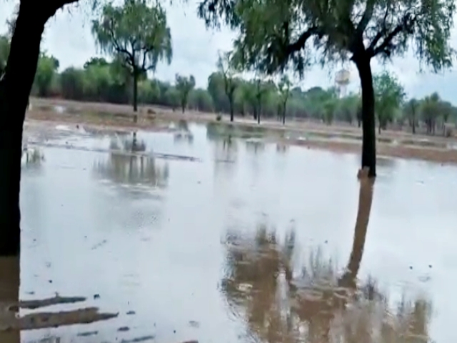 राजस्थान हिंदी न्यूज, जोधपुर बारिश की खबर, heavy rain in jodhpur, jodhpur news