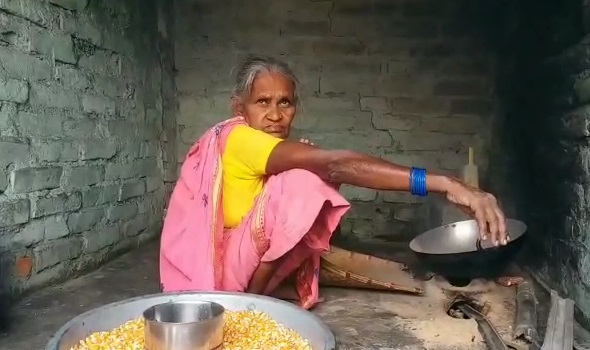 खाना बनाती घर की बुजुर्ग महिला