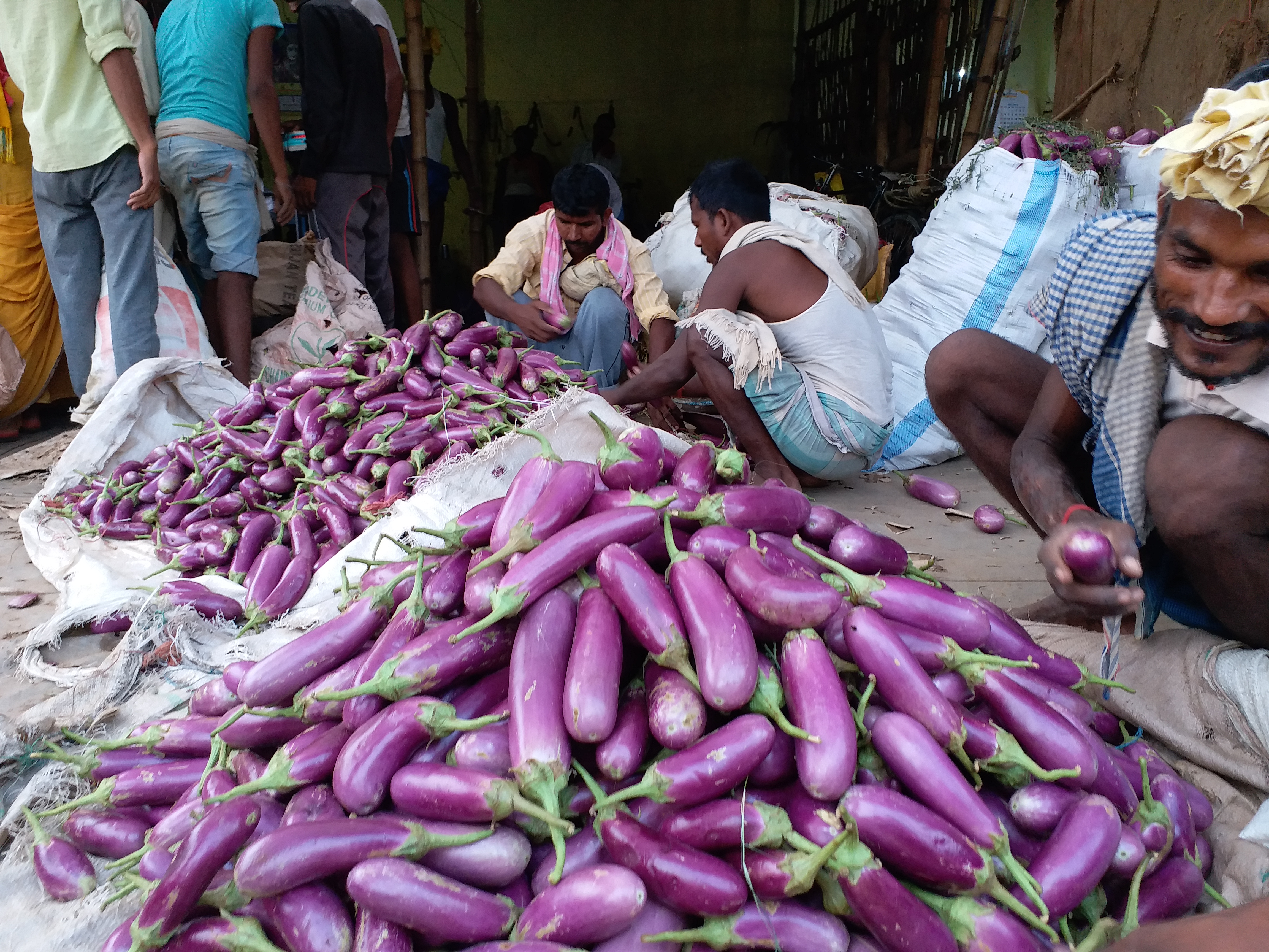 Bihar