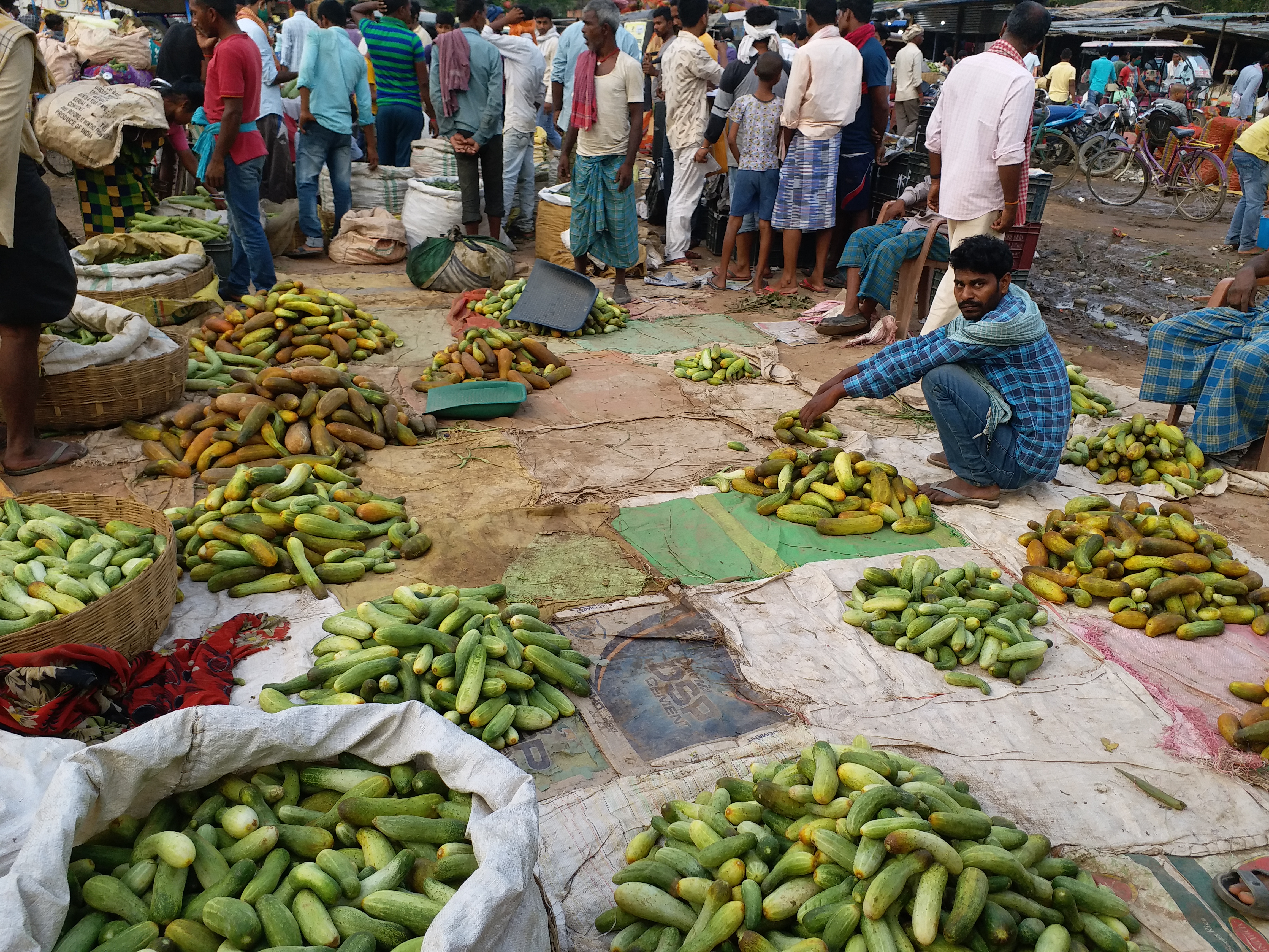 Bihar