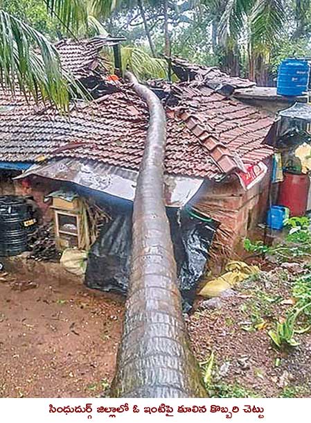 maharashtra cyclone nisarga photos