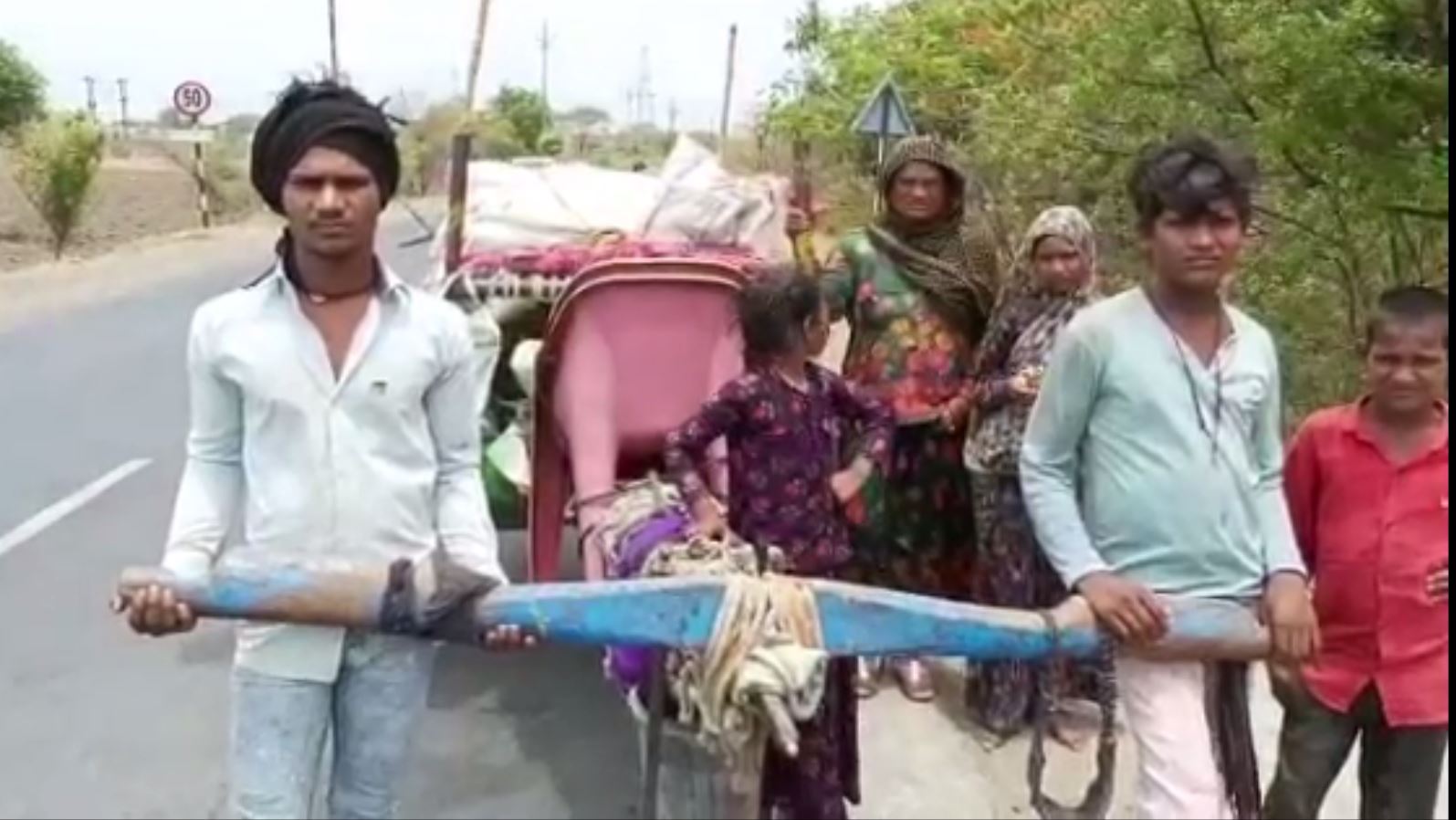 two-brothers-pull-bullock-cart-in-ujjain