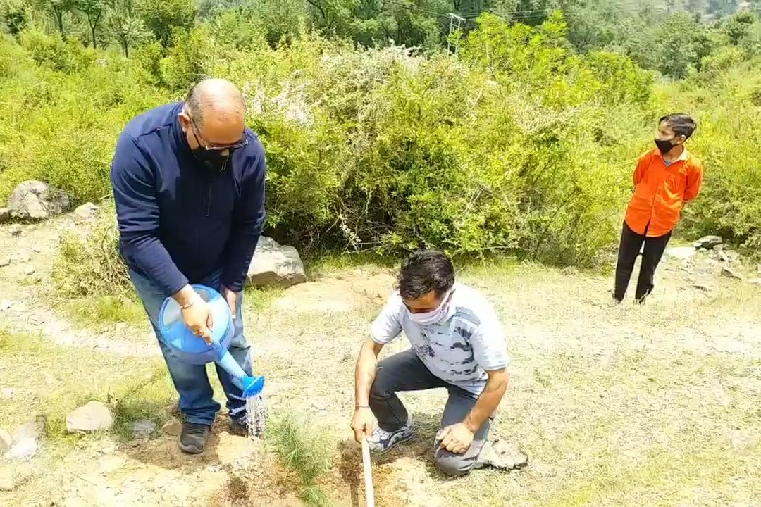 world enviornment day celebrated in chamba