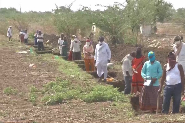 Karnataka Minister visits Kalaburagi district to inspect work done under MGNREGA