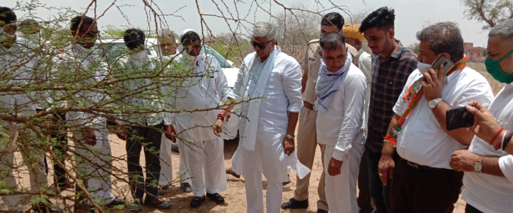 Locust attack in Jodhpur, farmer carry a box full of locust