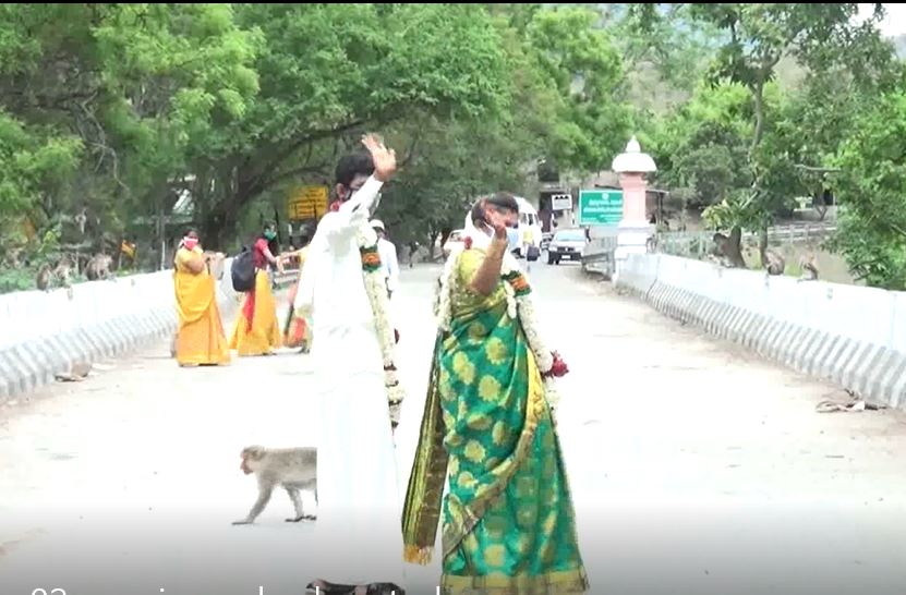 WATCH: Inter-state couple ties knot at Chinnar bridge in Kerala