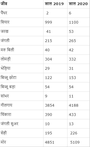 राजस्थान की खबर, jhunjhnu news