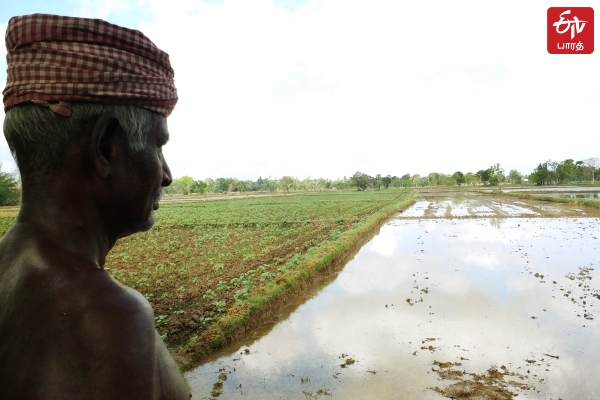 விளை நிலங்களை தயார் செய்யும் பணியில் விவசாயிகள்