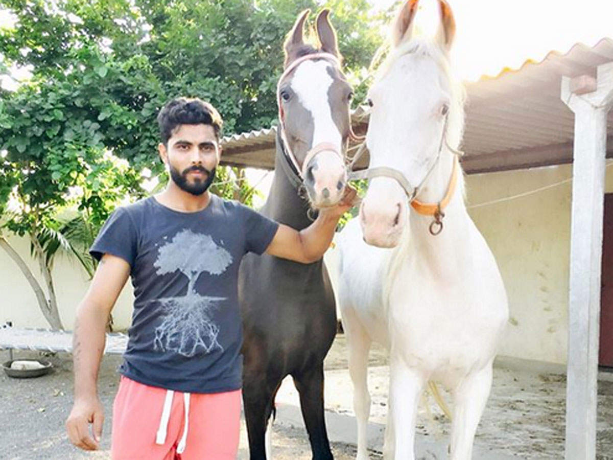 International cricketers, cricketers and their adorable pets, cricketers and pets during lockdown, କ୍ରିକେଟର ଓ ତାଙ୍କ ପ୍ରିୟ ସାଥୀ, ଲକଡାଉନ, କ୍ରିକେଟର