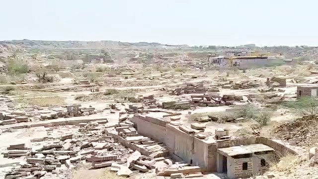 big muscular body fossils,  Sursagar area of Jodhpur,  Fossils in Jodhpur