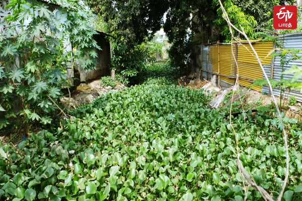 20 ஆண்டுகளாக தூர்வாரப்படாமல் இருக்கும் வாய்க்கால்