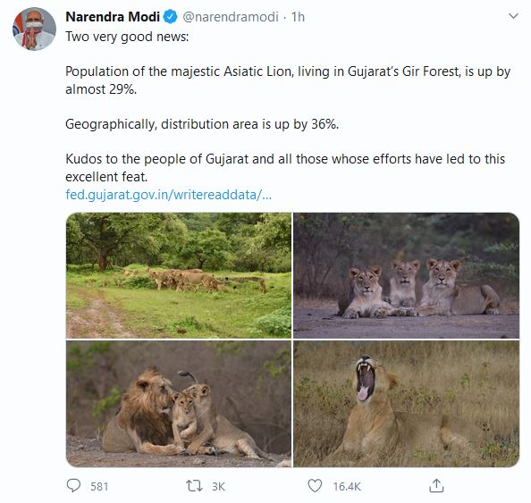 Lions population in the Gir sanctuary has increased