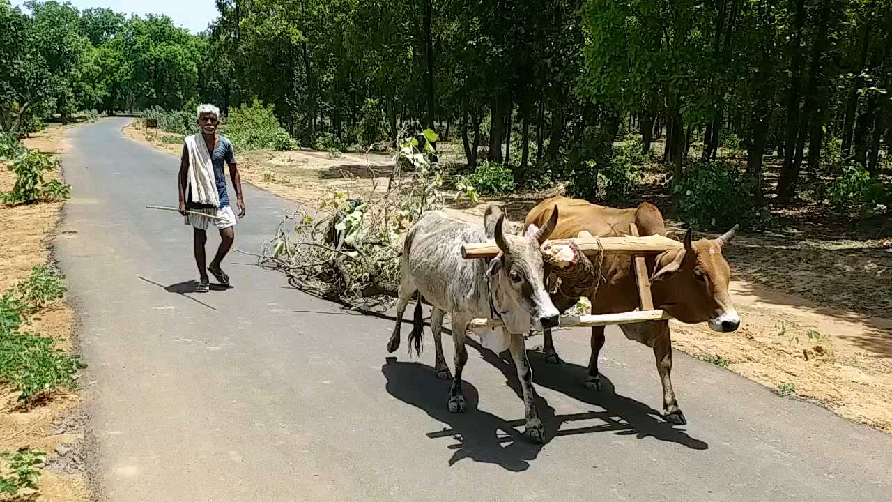 farmers-preparation-for-kharif-crop