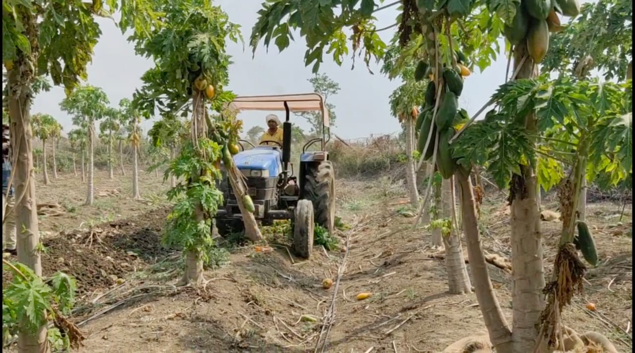 farmer drives tractor on crop