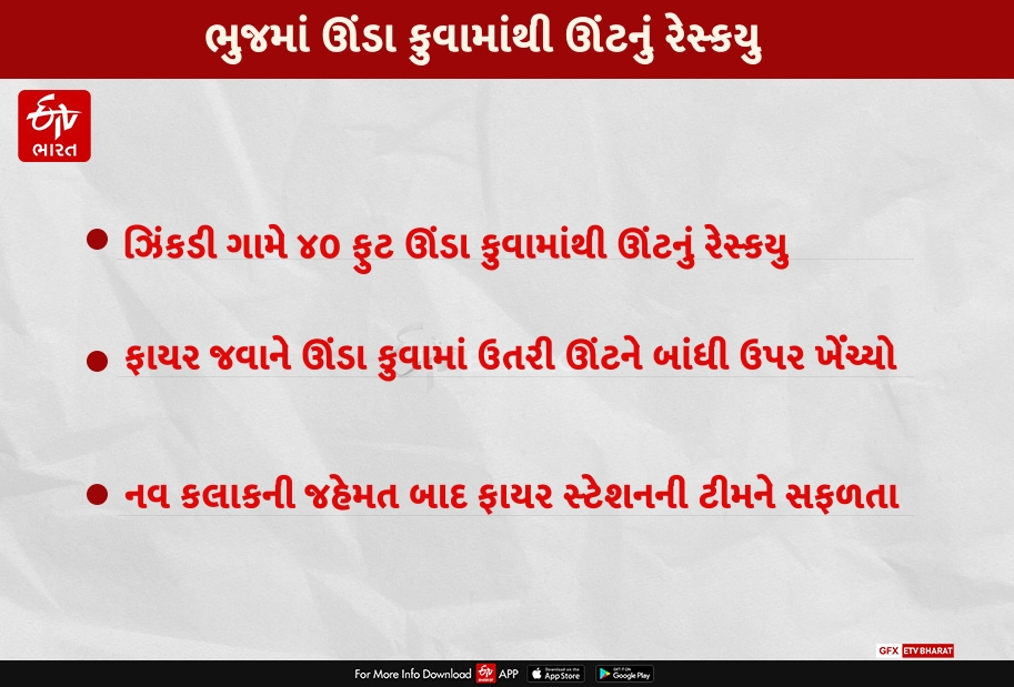 ભુજના ઝિંકડી ગામે 40 ફુટ ઊંડા કુવામા પડેલા ઊંટનું રેસ્ક્યૂ કરાયુ