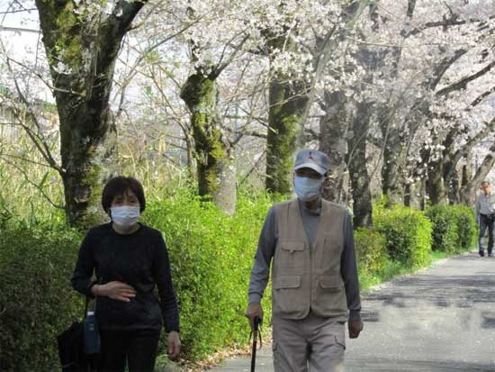 Japan People Wear Face Mask