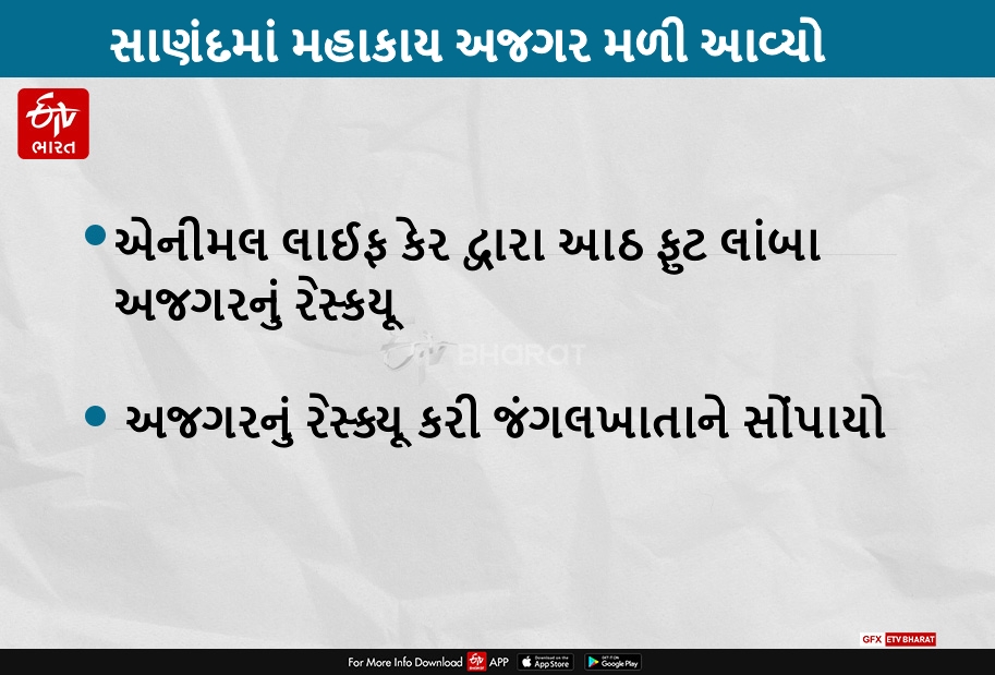 સાણંદમાં મહાકાય અજગર મળી આવ્યો