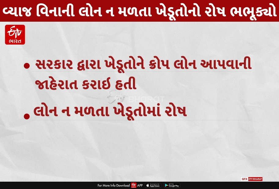 સરકાર દ્વારા ખેડૂતોને વ્યાજ વિનાની ક્રોપ લોન ન મળતા વાઘોડીયાના ખેડૂતોનો રોષ ભભૂક્યો