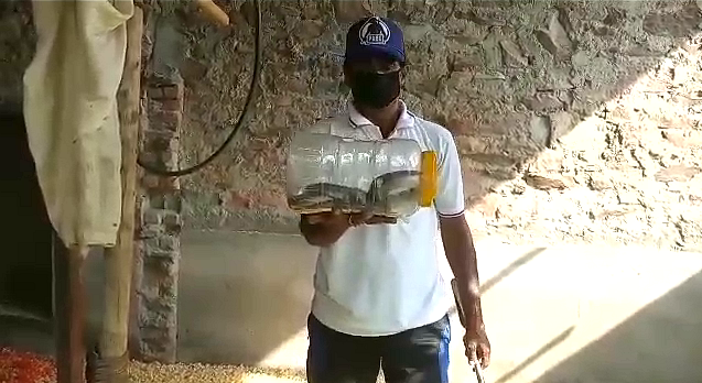 राजस्थान न्यूज, kota news, cobra in factory