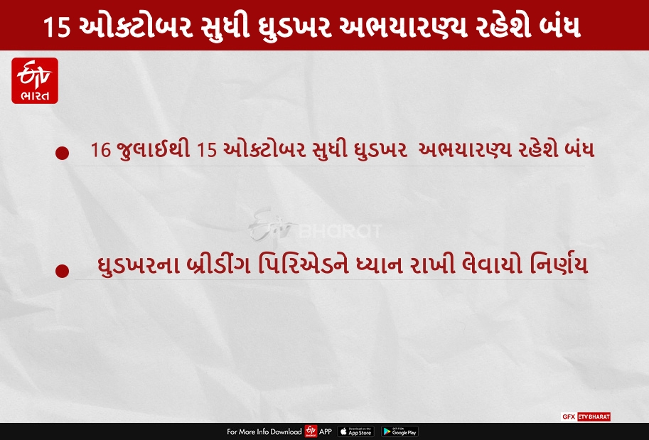 સુરેન્દ્રનગરમાં 15 ઓક્ટોબર સુધી ઘુડખર અભયારણ્ય રહેશે બંધ