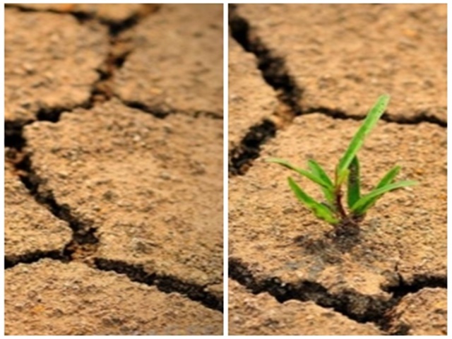 Desertification and drought day World Desertification day பாலைவனமாக்கல், வறட்சி உலக பாலைவனமாக்கல் எதிர்ப்பு தினம் ஐநா சபை DROUGHT CONDITION IN INDIA NDRF FOR DROUGHT Exceptional Dry Dry வறட்சி இந்தியாவில் வறட்சி வறட்சி எதிர்ப்பு தினம் பாலைவனமாக்கல்