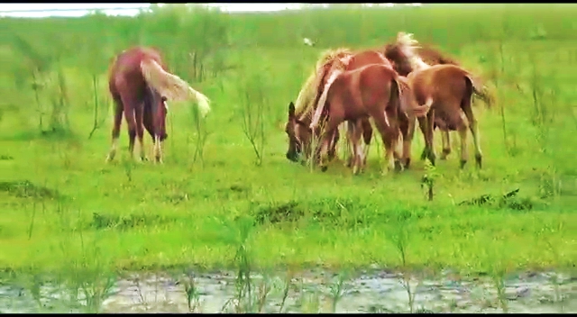 এইবাৰ ডিব্ৰু-ছৈখোৱাত চলিব অইলৰ তৈল খনন