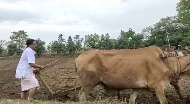 mp-chunnilal-sahu-is-farming-his-fields-in-mahasamund