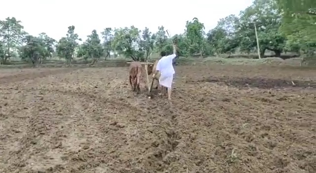 mp-chunnilal-sahu-is-farming-his-fields-in-mahasamund