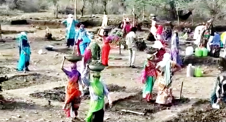 MGNREGA work in Kota,  Kota News