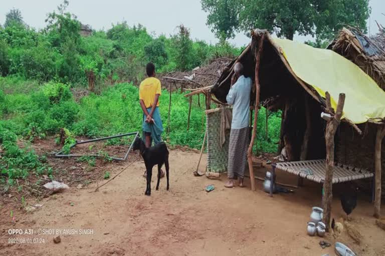 People Living In Forests Occupied Forest Land in garhwa