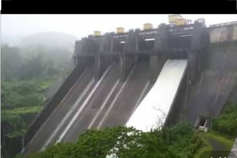 chandoli dam