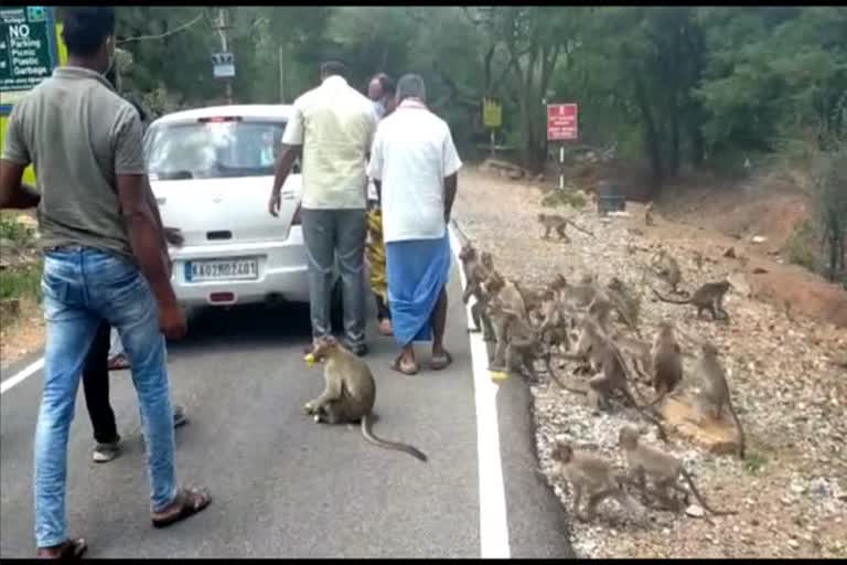 ಆಹಾರ ನೀಡಿದ ಶಾಸಕ 