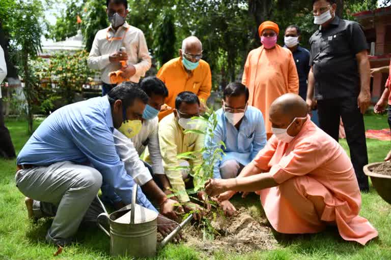 सीएम योगी ने किया पौधारोपण