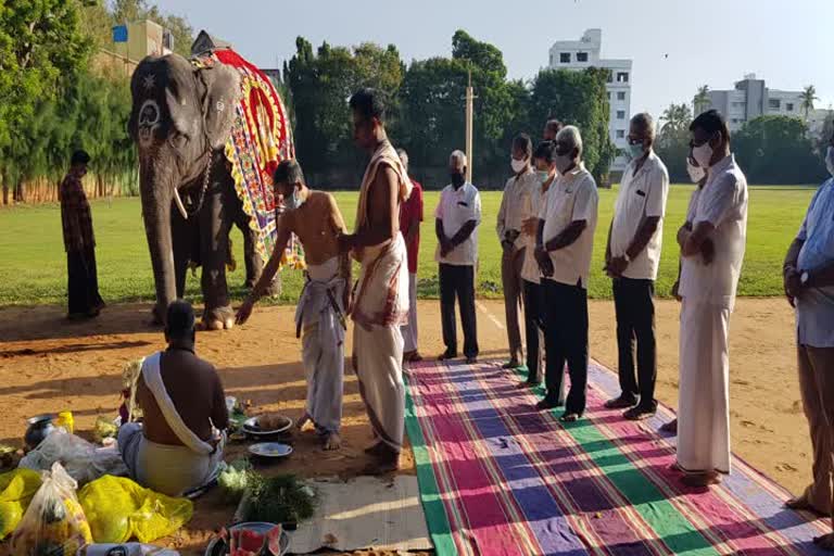 புதுச்சேரி மணக்குள விநாயகர் கோவில் யானை லட்சுமிக்கு சிறப்பு பூஜையுடன் நடைபயிற்சி