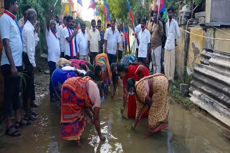 நாற்று நட்டு போராட்டம்