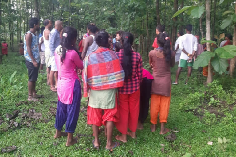 man-trampled-to-death-by-tusker-in-bengal